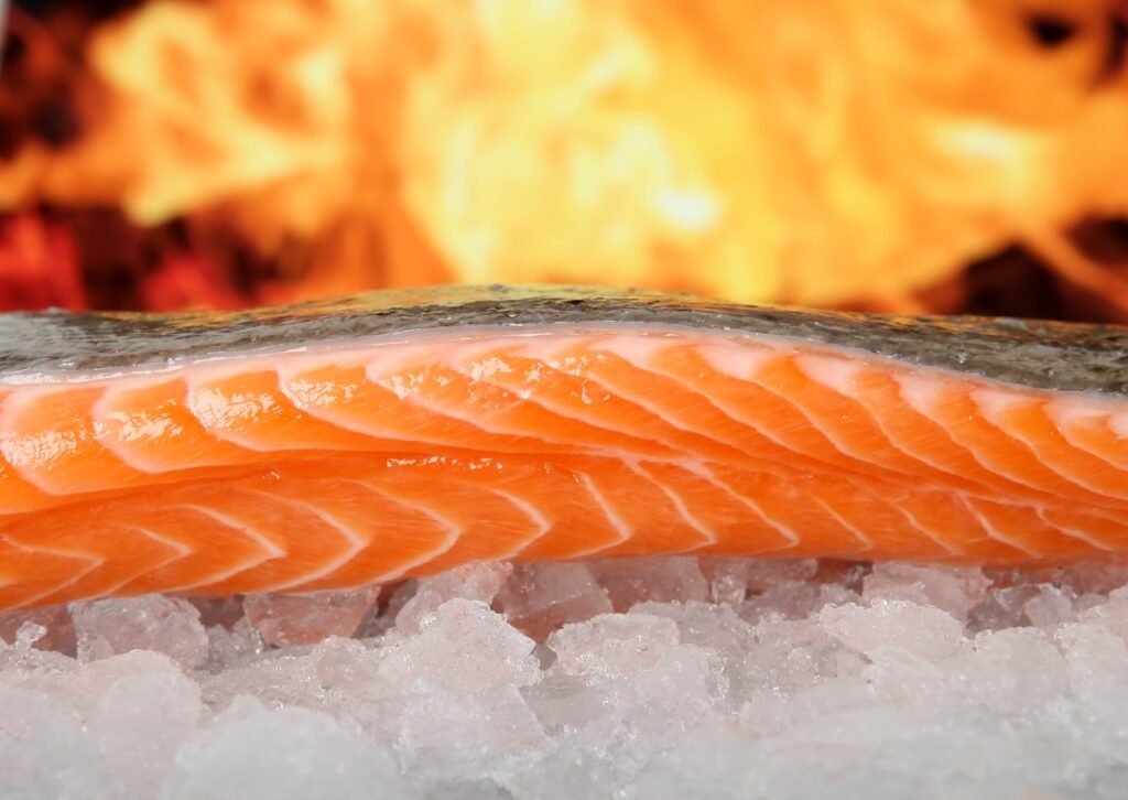 salmon, fish, food